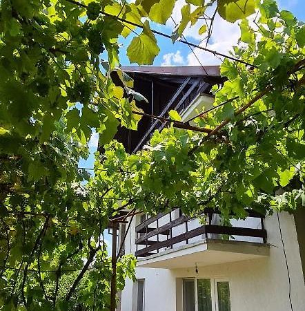 Cazare Vila Maria Apartman Árgyasudvarhely Kültér fotó