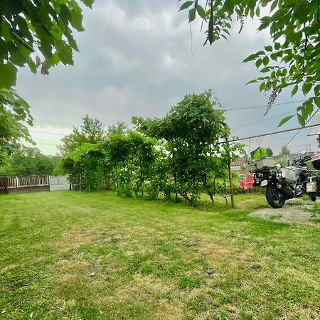 Cazare Vila Maria Apartman Árgyasudvarhely Kültér fotó